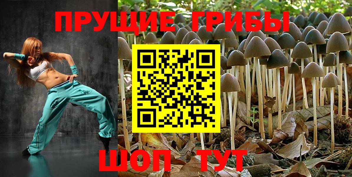 Галлюциногенные грибы Psilocybine cubensis Копейск
